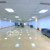 Tòa Nhà 10 Tầng Mp Hoàng Cầu, 250M, 10 Tầng Thang Máy, Pccc, Hoàn Công - 0963738356