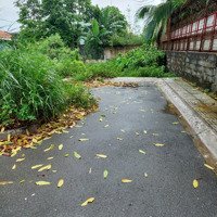 Bán Đất Tại Thới Hòa, Vĩnh Lộc A, Bình Chánh, 40 Triệu/M2, 80.9M2, Chính Chủ Uy Tín