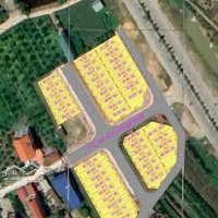Chủ Gửi Bán Nhanh Mảnh Đất Đấu Giá Yên Vinh Thanh Lâm Lô Cạnh Góc 75M2