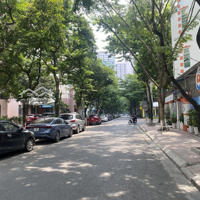 Siêu Vip Nhà Mặt Phố Dịch Vọng Hậu, Duy Tân, Cầu Giấy. 150M2, Mặt Tiền 8.5M, Xây Building, 85 Tỷ