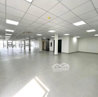 Bán Tòa Nhàmặt Tiềnphan Đình Phùng, Q. Pn -Diện Tích7.5X 21M - Hầm 6 Lầu - Hđt 175 Triệu - Giá Bán 52 Tỷ