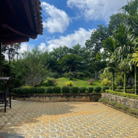 Bán Gấp Nhà Vườn Siêu Đẹp, Tân Thành, Hẻm Mai Hắc Đế Giá Cực Chất 20 Tỷ, 4372.9M2