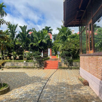 Bán Gấp Nhà Vườn Siêu Đẹp, Tân Thành, Hẻm Mai Hắc Đế Giá Cực Chất 20 Tỷ, 4372.9M2