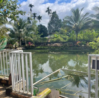 Bán Gấp Nhà Vườn Siêu Đẹp, Tân Thành, Hẻm Mai Hắc Đế Giá Cực Chất 20 Tỷ, 4372.9M2