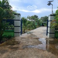 Đất Thị Trấn Dầu Tiếng Chính Chủ Gửi Bán Nhà + Đất Có Sẵn Nhà Vườn Cây Ăn Trái Đầy Đủ Giá Rê