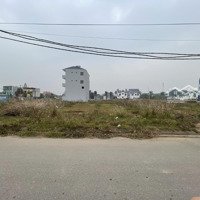 Bán Đất Khu Phân Lô Thị Trấn Chi Đông Siêu Tiềm Năng,Kinh Doanh Đỉnh