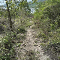 Bán Lô Đất Vĩnh Hoà, Nha Trang, Khánh Hoà
