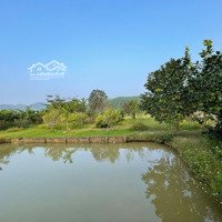 Cần Bán Gấp Lô Đất Nghỉ Dưỡng Có Ao Cá Cây Ăn Quả Đẹp Nhất Khu Vực Yên Bình Thạch Thất Hà Nội