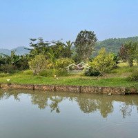 Cần Bán Gấp Lô Đất Nghỉ Dưỡng Có Ao Cá Cây Ăn Quả Đẹp Nhất Khu Vực Yên Bình Thạch Thất Hà Nội