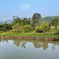Cần Bán Gấp Lô Đất Nghỉ Dưỡng Có Ao Cá Cây Ăn Quả Đẹp Nhất Khu Vực Yên Bình Thạch Thất Hà Nội