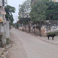 Bán Nhanh Đất Phân Lô, Thanh Lâm, Tt Mê Linh, Gần Vđ 4, Kđt Hud Mê Linh, 100M2, 3.8 Tỷ