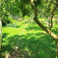 Bán 4000 M2 Đã Có 800M2 Thổ Cư Đất Trang Tại Hùng Sơn Kim Bôi Hòa Bình 4,8 Tỷ