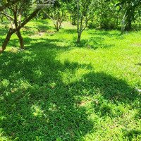 Bán 4000 M2 Đã Có 800M2 Thổ Cư Đất Trang Tại Hùng Sơn Kim Bôi Hòa Bình 4,8 Tỷ
