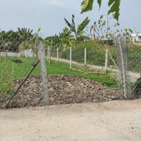 Lô Góc 2 Mặt Tiền Ô Tô Thông, 10X25M Tiện Xây Nhà Vườn. Bình Mỹ Củ Chi Hcm