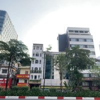 Cho Thuê Nhà Mặt Phố View Đẹp Tại Đường Phúc La - Xa La, Hà Đông, Hà Nội, 160M2 Mặt Tiền 10M