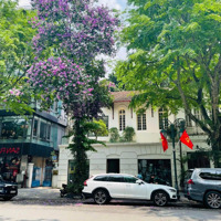 Cực Hiếm ! Chủ Nhà Cho Thuê Biệt Thự Mặt Phố Hai Bà Trưng, Mặt Tiền 15M,Diện Tích450M2, Xây Dựng 4 Tầng.