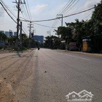 Mặt Tiền Đào Sư Tích, Phước Lộc, Nhà Bè - 223M2 Ngang 5,3M - 65 Triệu/M2 Nhỉnh 14 Tỷ (Tl)