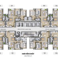 Quỹ Căn 2 Phòng Ngủ- 3 Phòng Ngủtrực Tiếp Cđt Chung Cư Cao Cấp Nelson Láng Hạ View Hồ Hoàng Cầu - Hồ Thành Công