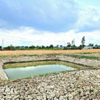 Chính Chủ Gửi Bán 1000M2 (20M X 50M) Đất Làm Vườn, Đường Xe Hơi, Giá Rẻ, Sổ Hồng Riêng