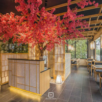 Mặt Bằng Kinh Doanh Phố Nguyên Hồng, Diện Tích: 60M2 X 5 Tầng, Mt: 6M Giá Thuê 43 Triệu - Liên Hệ: 0349833933