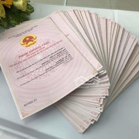 Siêu Phẩm Mặt Tiền Hơn 16M Chia Dc 2 Lô Cách Kđt Vinhome Ocean Park 2 - 3, Đường Vành Đai 3.5 500M
