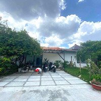 Nhà Sân Vườn - Ngay Mép Sông Sg - Đường Bình Lợi