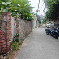 Mảnh Đất Tình Quang- Lô Góc - Hình Thửa Đẹp - Oto Vào Đất - Giá Rẻ Cho Nhà Đầu Tư - Chủ Bán Gấpppp