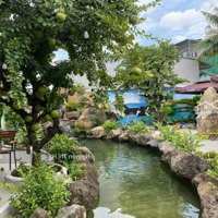 Quán Cafe Sân Vườn, Khu Viêt Lập - Gần Phạm Văn Đồng 200M - Thuộc Dĩ An, Bình Dương - Giá 15,X Tỷ
