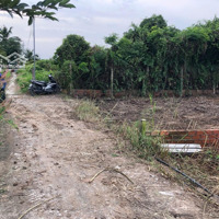 Chính Chủ Dân Địa Phương Gửi Em Bán Lô Đất Full Thổ Qh Ont Kdc Cách Phà Chỉ 1Km Giá Quá Rẻ