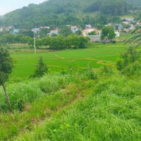 Chuyển Nhượng 1152M2 Đất Thổ Cư Nhà Vườn Tại Tiến Xuân Thạch Thất Gần Trường Quốc Tế Maya