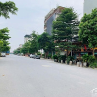 Phố Dương Khuê, Cầu Giấy, Nhỉnh 25 Tỷ, 60M,Mặt Tiền4.5M, 7 Tầng, Thang Máy, Phân Lô, Vỉa Hè, Ô Tô Tránh
