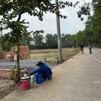 Bán Đất Sổ Riêng Thổ Cư 100M2, Đường Thông, Sát Bên Thị Trấn Trảng Bom, Xã Sông Trầu.
