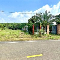 Bán 1 Sào 25 X 45= 1125M2, Mặt Tiền Đường Nhựa 24M, Nằm Ngay Ql 14 Đi Vào, Giá Bán 960 Triệu