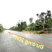 Bán 123,8M2, Mặt Đường Ô Diên, Xã Hạ Mỗ, H. Đan Phượng, Giá 49 Triệu/M2