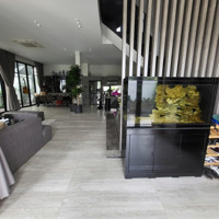 Biệt Thự Kdc Gia Hòa, 192M2, 12X16, 4 Phòng Ngủ Full Nội Thất, P. Plb, Quận 9