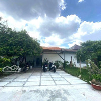 Cho Thuê Biệt Thự 200M2 Giá Siêu Hời 25 Triệu Tại Bình Lợi, Bình Thạnh, Tp.hcm