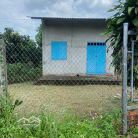 Hơn 1000M2 20M Mặt Tiền, Sẵn Cây Ăn Trái Chính Chủ Bán Rẻ Chỉ 400 Triệu