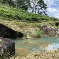 Chỉ 600 Triệu Sở Hữu Ngay 6.047M2 Đất Thuộc Xã Đại Lào, Thành Phố Bảo Lộc, Có Suối Đẹp Quanh Vườn Gtl