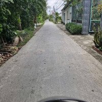 361.5 M2 Đất Thổ - Đường Đan 4M Liên Ấp - Nhựt Chánh, Bến Lức - Chỉ 1.6 Tỷ