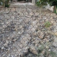 361.5 M2 Đất Thổ - Đường Đan 4M Liên Ấp - Nhựt Chánh, Bến Lức - Chỉ 1.6 Tỷ