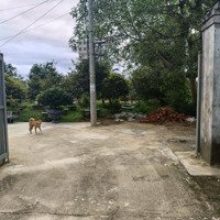 Bán Lô Đất Giá Rẻ Tại Hòa Phước 135M2 Đường Ô Tô Thông