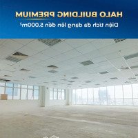 Cc Cho Thuê Văn Phòng Diện Tích Từ 120M2 - 565M2 Tòa Nhà Halo Building Premium Ở Ngay Trung Tâm Q1