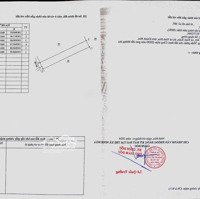 Giá Có 199 Triệu Cho Diện Tích Hơn 500 Mét Ninh Xuân - Ninh Hòa Sổ Sẵn