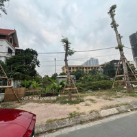 Bán Lô Đất Mặt Đường Bùi Viện - Mặt Tiền 14M- Đẹp Ngay Khu Trung Tâm Thường Mại - Khu Waterfont