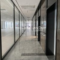 Cđt Chính Thức Tung Ra Siêu Phẩm 10.000M2 Tại Trường Chinh - Nguyễn Trãi, Phù Hợp Mọi Loại Hình