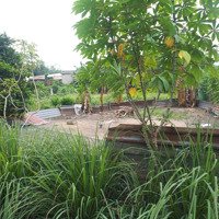 Cần Bán Đất Tân Thạnh Đông 5X37M Hết Thổ Cư, Sổ Riêng, Giá Bán 2,65 Tỷ