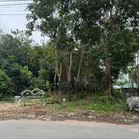 Bán Đất Mặt Tiền Đường Nhựa Gần Cổng Vào Kcn Việt Hương 2, Thổ Cư 150M2 Tiện Xây Ở Hoặc Phòng Trọ
