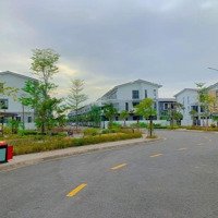 Bán Căn Liền Kề Tại Belhomes Hải Phòng, 4,25 Tỷ, 75M2. Vị Trí Cực Đẹp