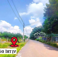 Cần Tiền Bán Lỗ Lô Đất Thổ Cư Sổ Sẵn Ngay Trung Tâm Chợ, Ủy Ban Xã Tân Long - Bình Dương