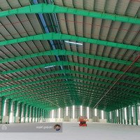 Cho Thuê Xưởng Xây Mới 6800M2 T5/2025 Bàn Giao. Giá Rẻ